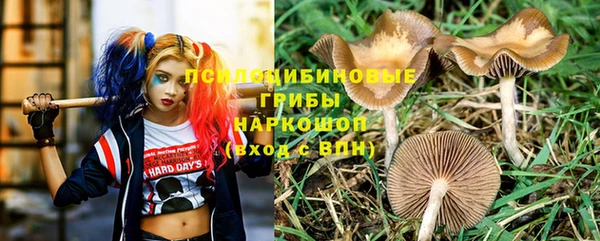 каннабис Надым