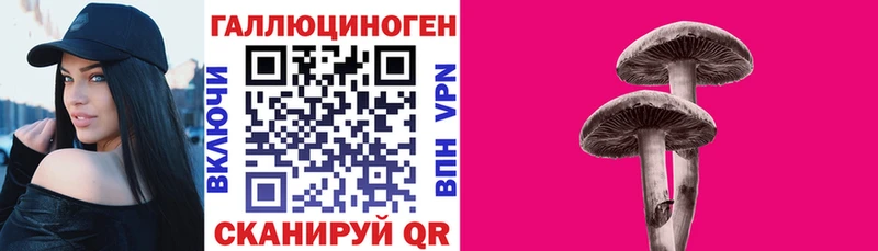 Псилоцибиновые грибы Psilocybe  Ряжск 